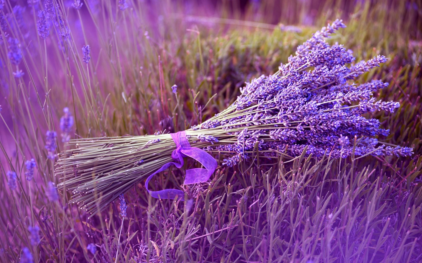 Agriculture